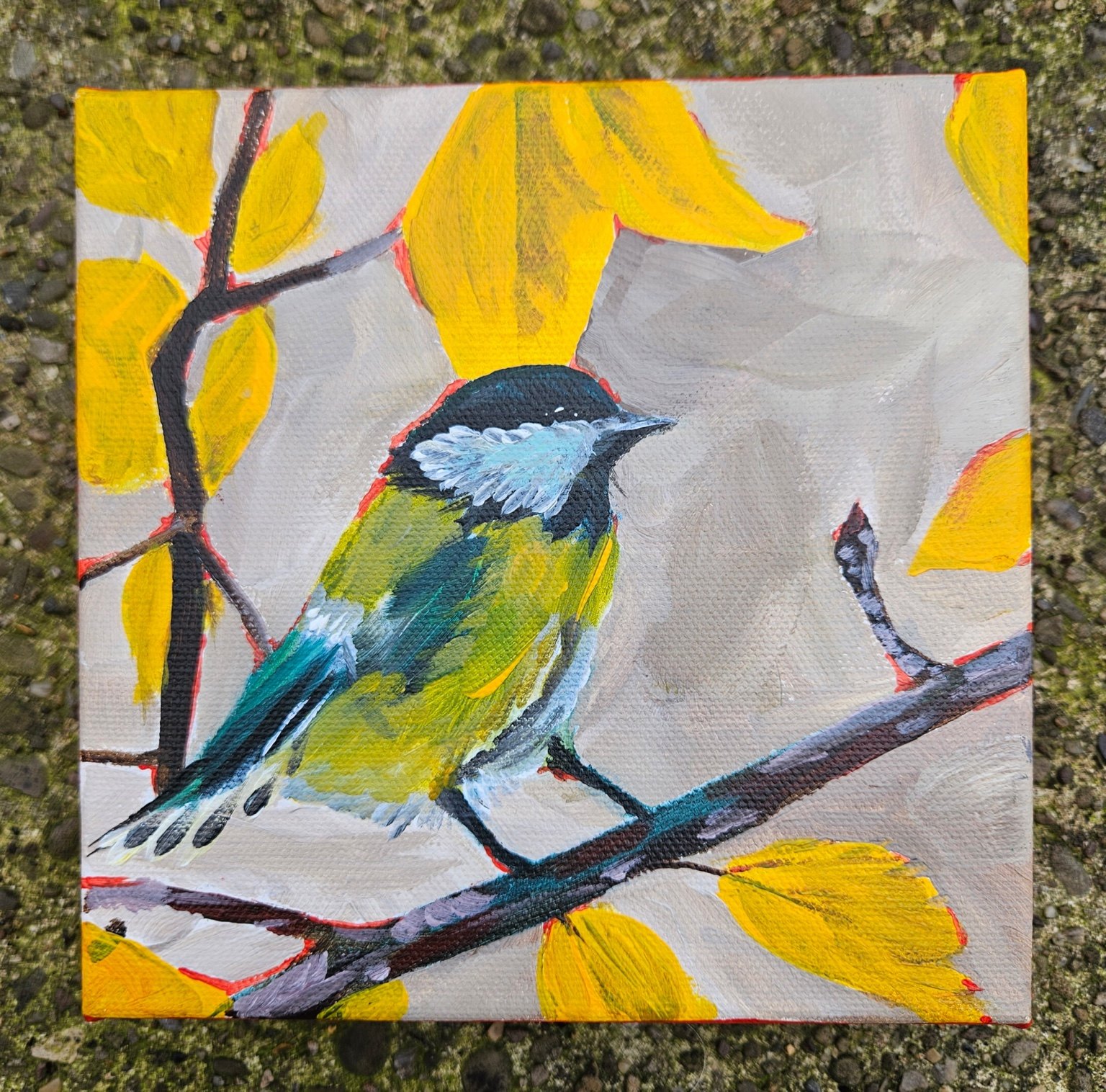 Bird #07, 6 by 6 acrylic painting by Amber Thaman