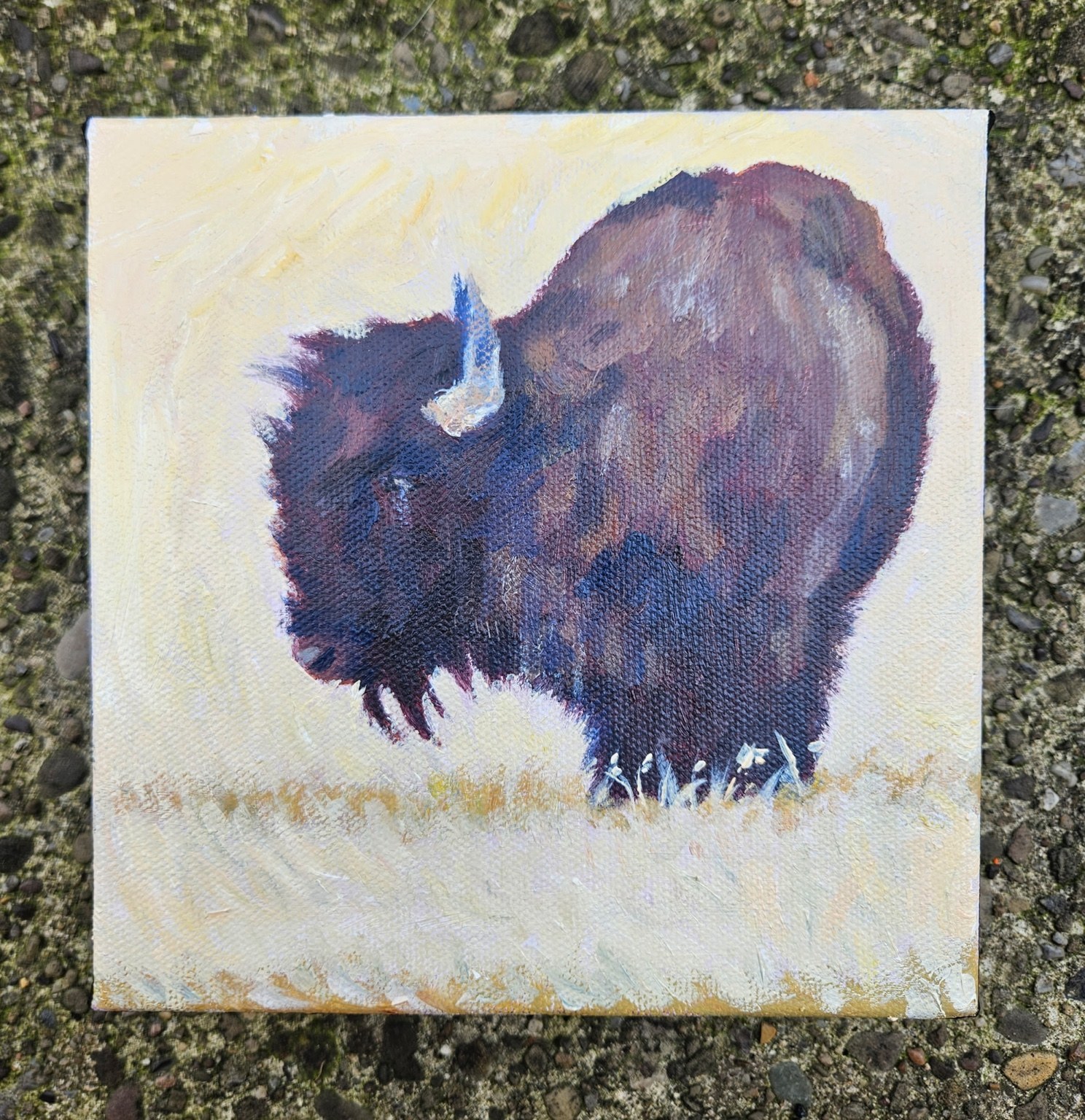 Grazing Days, 6 by 6 acrylic painting by Amber Thaman